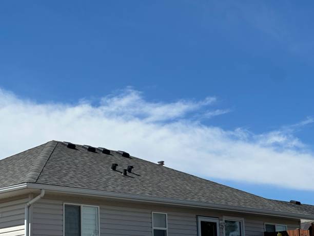 Best Rubber Roofing (EPDM, TPO)  in Warsaw, IL