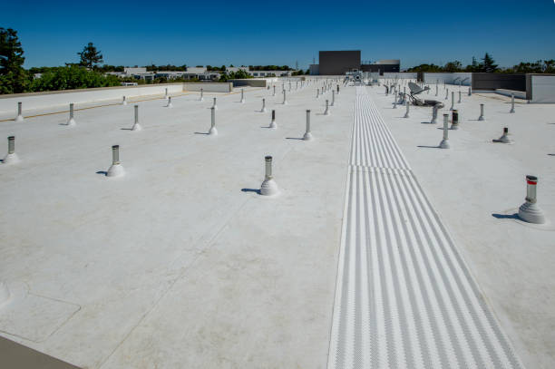 Best Steel Roofing  in Warsaw, IL